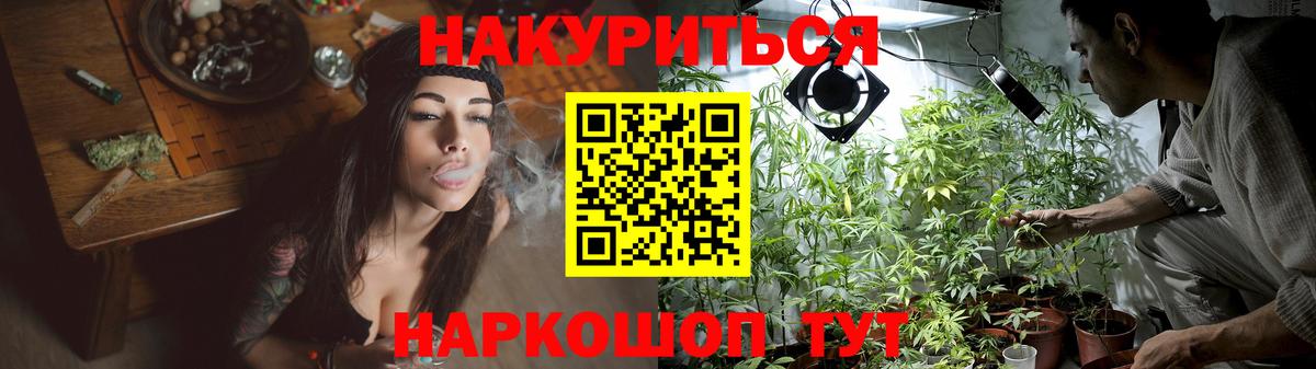 Кисловодск  Каннабис план  Шишки марихуана конопля  Конопля план  Вход с VPN 